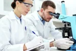 Учёные вырастили печёночную ткань с сосудами. Органоид вырабатывает фактор свёртывания крови и может помочь при гемофилии и печёночной недостаточности.