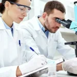 Учёные вырастили печёночную ткань с сосудами. Органоид вырабатывает фактор свёртывания крови и может помочь при гемофилии и печёночной недостаточности.