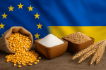ЕС отменил беспошлинный режим для украинской агропродукции и вернул тарифные квоты. Киев добивается увеличения объемов экспорта в ЕС.