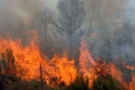 Пожары охватили 3000 гектаров в Турции: в Бурсе эвакуированы 1700 человек, погиб пожарный, жара достигла рекордных 50,5°C.