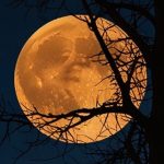 Узнайте, какие приметы и ритуалы в полнолуние 10 июля 2025 года стоит провести для привлечения удачи, любви, достатка и очищения энергии.