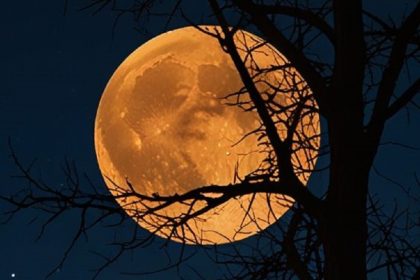 Узнайте, какие приметы и ритуалы в полнолуние 10 июля 2025 года стоит провести для привлечения удачи, любви, достатка и очищения энергии.