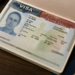 США вводят новый визовый сбор в $250 для неиммиграционных виз. Кого он коснётся, когда вступит в силу и как вернуть деньги — подробности в материале.