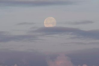23 августа 2025 года состоится редкое явление — чёрная Луна, которая будет невидимой для глаз, но важной для астрономов.