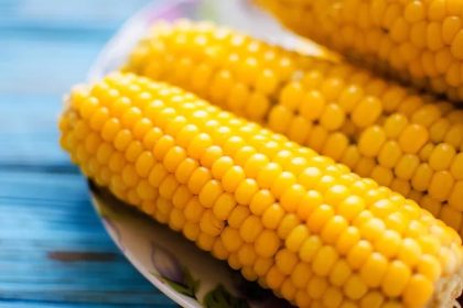 Кукуруза — это не только вкусный продукт, но и важный источник питательных веществ, витаминов и минералов для вашего здоровья.