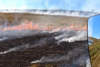 В Приднестровье на пастбище у села Мочаровка сгорело до 60 гектаров сухой травы. Ещё один пожар в Григориопольском районе уничтожил 15 гектаров.