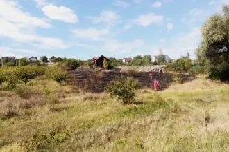 В Данченах 63-летняя женщина погибла от ожогов после поджога сухой травы. Пожар охватил три гектара, спасатели за сутки потушили 64 возгорания.