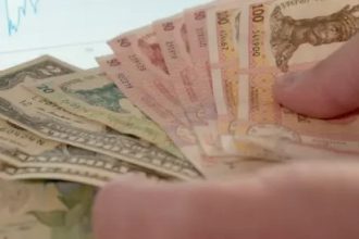 Реальная средняя зарплата в Молдове во II кв. 2025 выросла на 1,9 % до 15 471 леев; IT-сектор остаётся лидером, агросфера — с самым низким уровнем доходов.