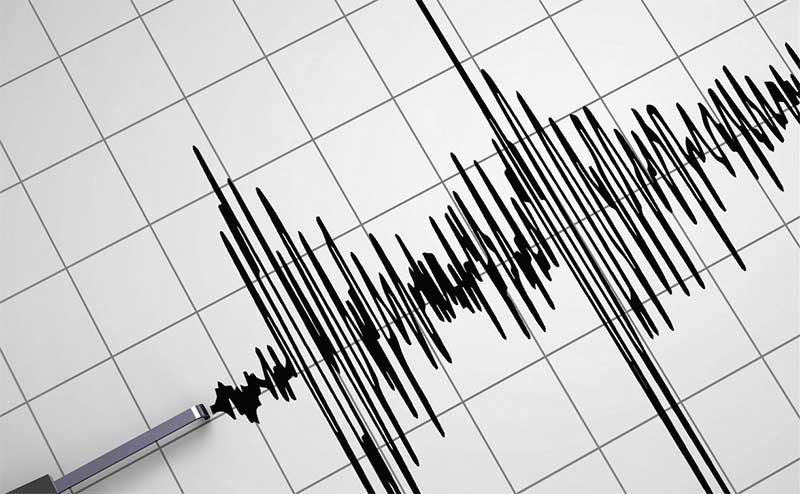 В Румынии, недалеко от Молдовы, 12 октября произошло землетрясение магнитудой 3,7. Подземные толчки зафиксированы в зоне Вранча.
