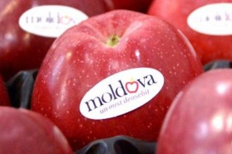 Россия остановила ввоз 20,5 тонн молдавских яблок из-за расхождений в документах, которое привело к запрету партии на границе.