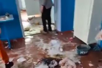 В Малаештах дети 8–10 лет устроили погром в школе: разбили посуду, сломали потолок, съели продукты. Школа просит помощи у местных жителей.