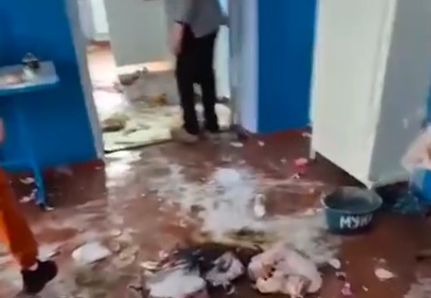 В Малаештах дети 8–10 лет устроили погром в школе: разбили посуду, сломали потолок, съели продукты. Школа просит помощи у местных жителей.