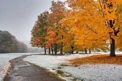 Праздники в Молдове в ноябре 2025 года: религиозные даты, выходные по регионам, профессиональные и международные события.