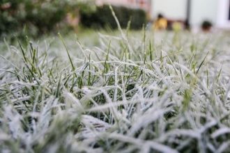В Республике Молдова объявлен желтый код опасности из-за заморозков 15 и 16 2025 года октября, до –2°C градусов.
