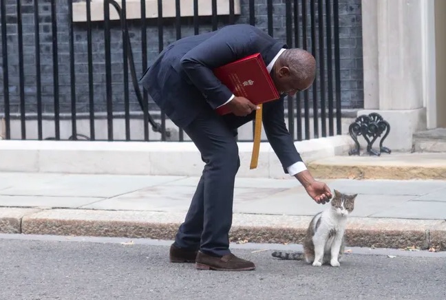 18-летний кот Ларри из резиденции премьера Великобритании станет героем документального сериала