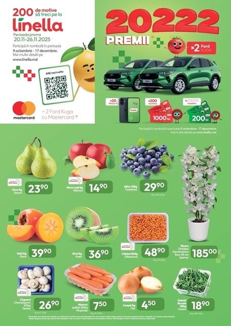 Какие сейчас скидки в Linella: что купить дёшево по 26 ноября и как поучаствовать в розыгрыше авто