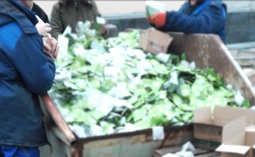 В Молдове уничтожили более тонны чёрного чая с пестицидами