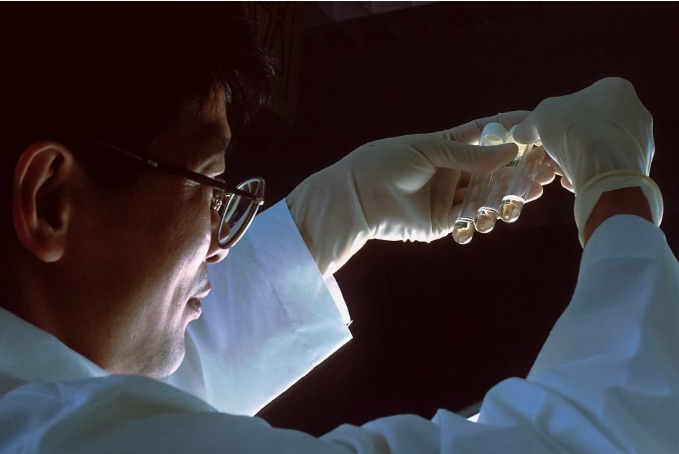 Процианидин C1 из виноградных косточек уничтожает стареющие клетки и может продлить жизнь — возможно, даже до 150 лет.