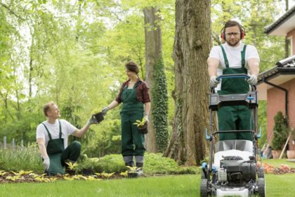 Секрет идеального участка: инструменты, которые помогут в уходе за садом