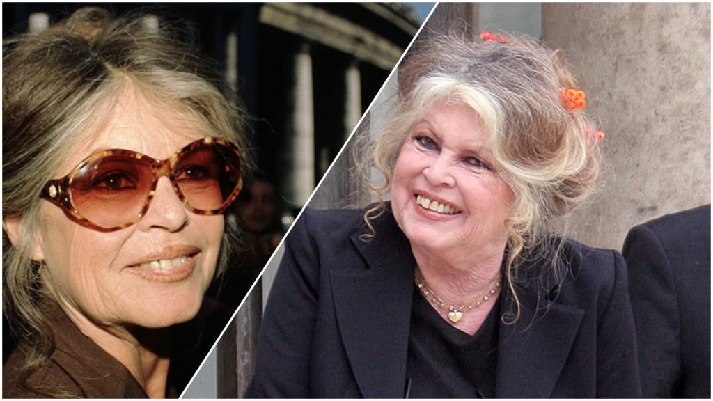 Умерла легенда французского кино Брижит Бардо: что известно о смерти, жизни и наследии актрисы