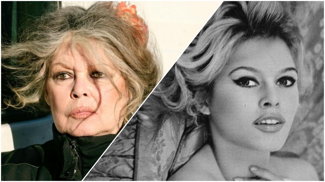 Брижит Бардо умерла 28 декабря 2025 в Тулоне. Причина смерти не раскрыта. Похороны — частные. Фильмы, взгляды и вклад в защиту животных.