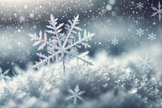 Погода в Молдове 29 декабря 2025: облачно, до +1°C, без осадков. Прогноз по регионам, одежда, советы для здоровья и прогулок.