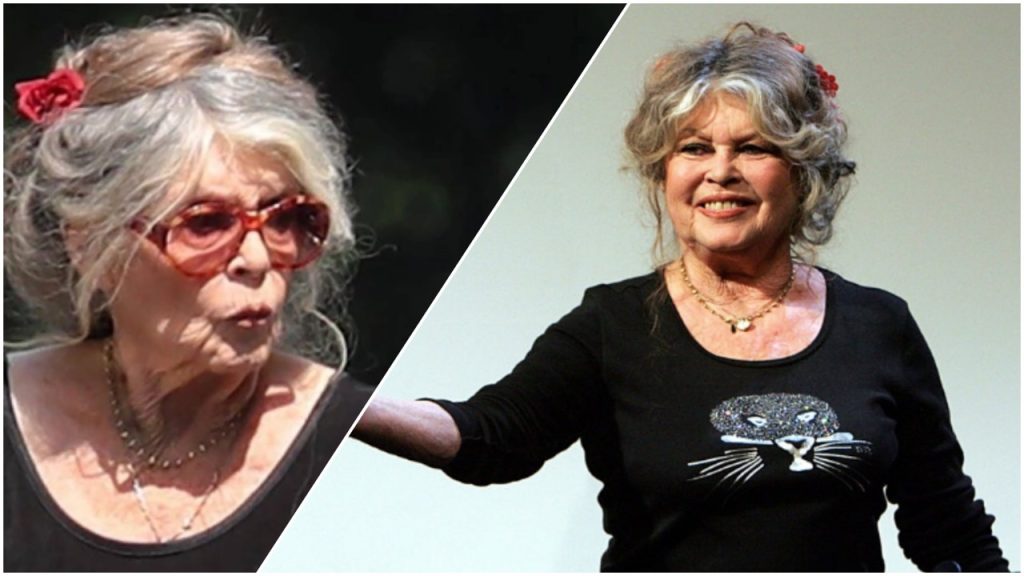 Умерла легенда французского кино Брижит Бардо: что известно о смерти, жизни и наследии актрисы