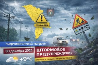 В Молдове объявлен жёлтый код из-за сильного ветра до 31 декабря 2025 года. Порывы до 18 м/с, температура до +9 °C.