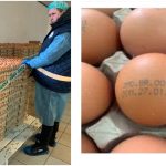 ANSA отзывает яйца с маркировкой 3 MD BR 004 из-за метронидазола. Какие партии подлежат возврату и чем опасна продукция SRL Raiplai-Avicola.