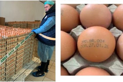 ANSA отзывает яйца с маркировкой 3 MD BR 004 из-за метронидазола. Какие партии подлежат возврату и чем опасна продукция SRL Raiplai-Avicola.