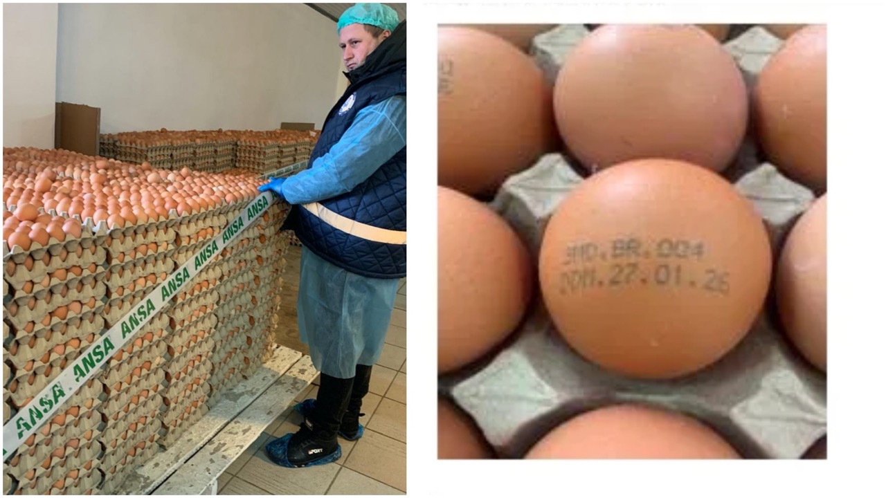 ANSA отзывает яйца с маркировкой 3 MD BR 004 из-за метронидазола. Какие партии подлежат возврату и чем опасна продукция SRL Raiplai-Avicola.