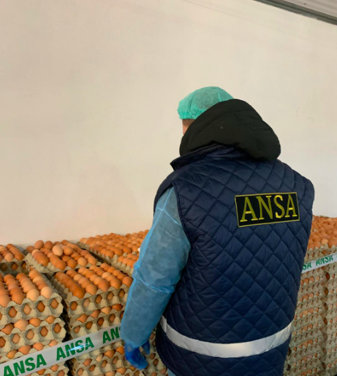 ANSA отзывает куриные яйца с маркировкой 3 MD BR 004 и предупреждает потребителей об опасности для здоровья