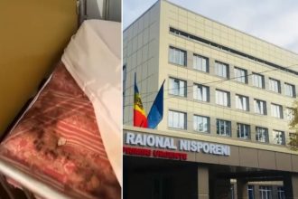 Детское отделение больницы Ниспорен временно закрыли после видео с антисанитарией. Что выявила проверка, что делать и когда откроют.