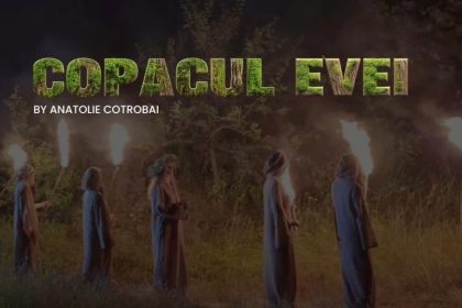 "Дерево Евы" в кинотеатрах Молдовы: сюжет без спойлеров, где смотреть, цена билета от 110 MDL, что важно перед сеансом.