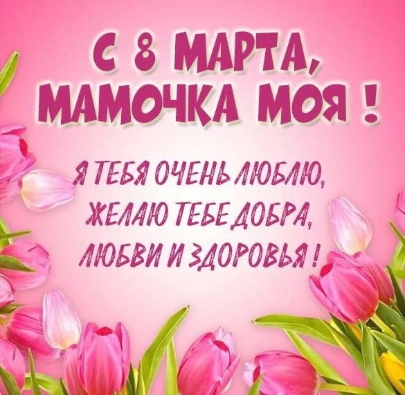 Что подарить маме на 8 марта: поздравления на русском и молдавском, открытки, идеи подарков