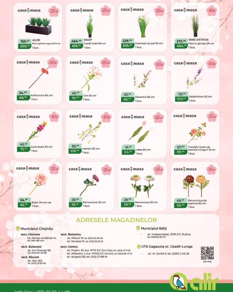 Скидки в Alir до 25%, 30%, 40% и даже 50% к 8 Марта 2026: что дёшево купить для дома и на подарок