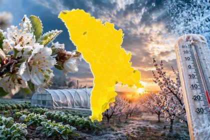 Жёлтый код в Молдове из-за заморозков 13–14 апреля 2026: где ожидается холод до −3°C, чем опасны заморозки для садов и как защитить растения.