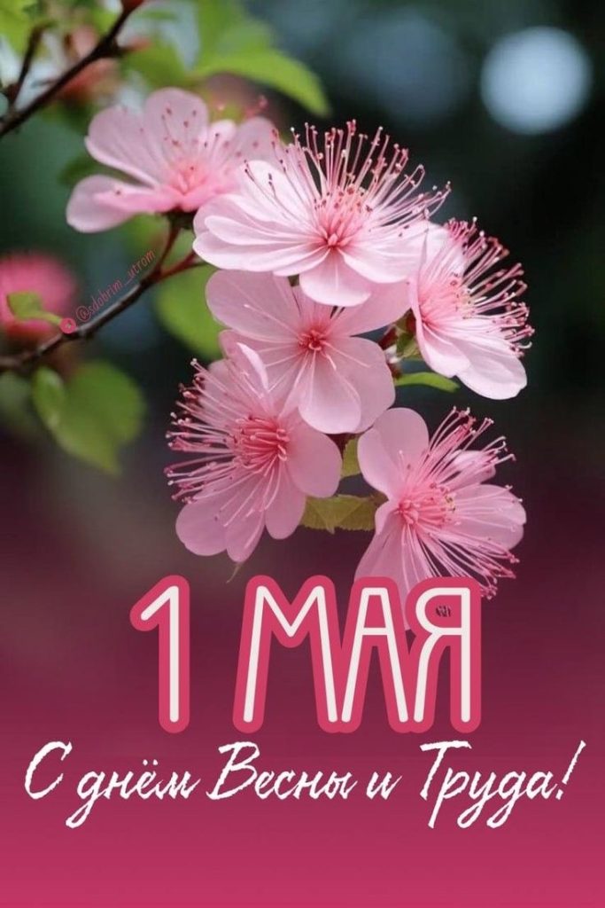 Почему 1 мая отмечают День труда: история праздника, готовые поздравления, СМС, картинки и открытки