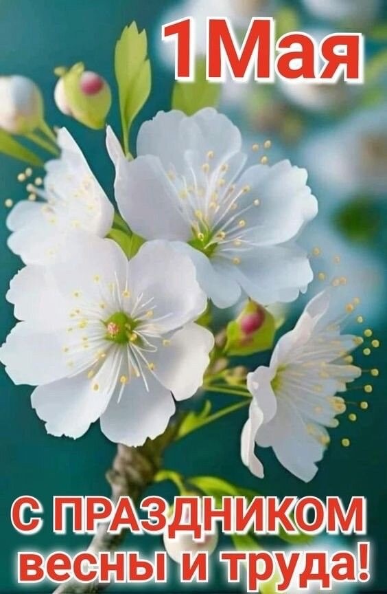 Почему 1 мая отмечают День труда: история праздника, готовые поздравления, СМС, картинки и открытки