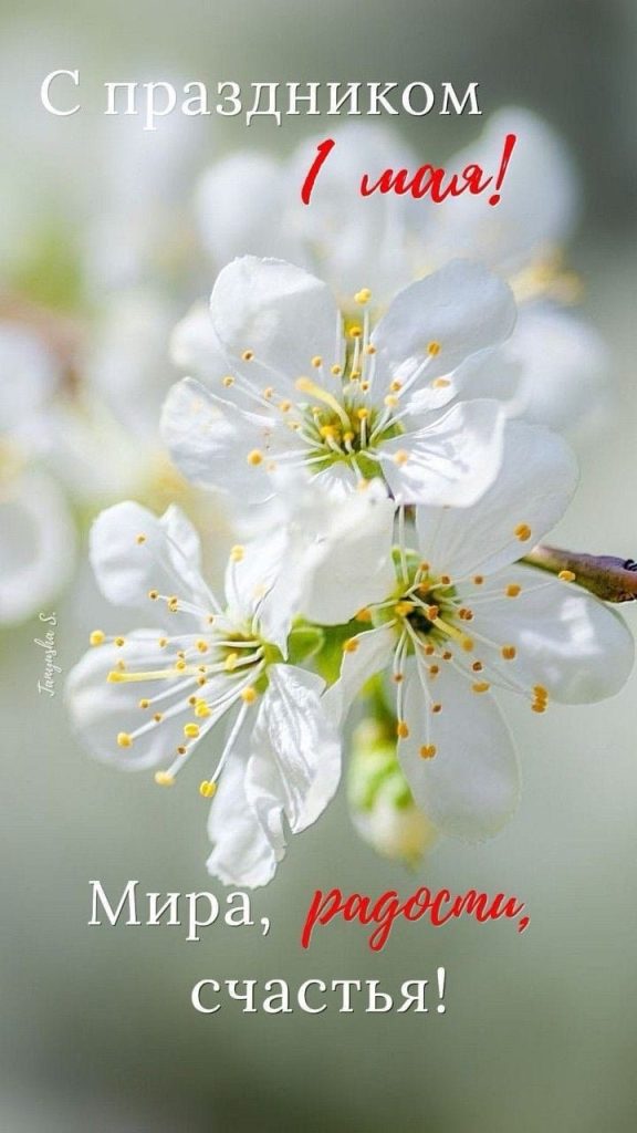 Почему 1 мая отмечают День труда: история праздника, готовые поздравления, СМС, картинки и открытки