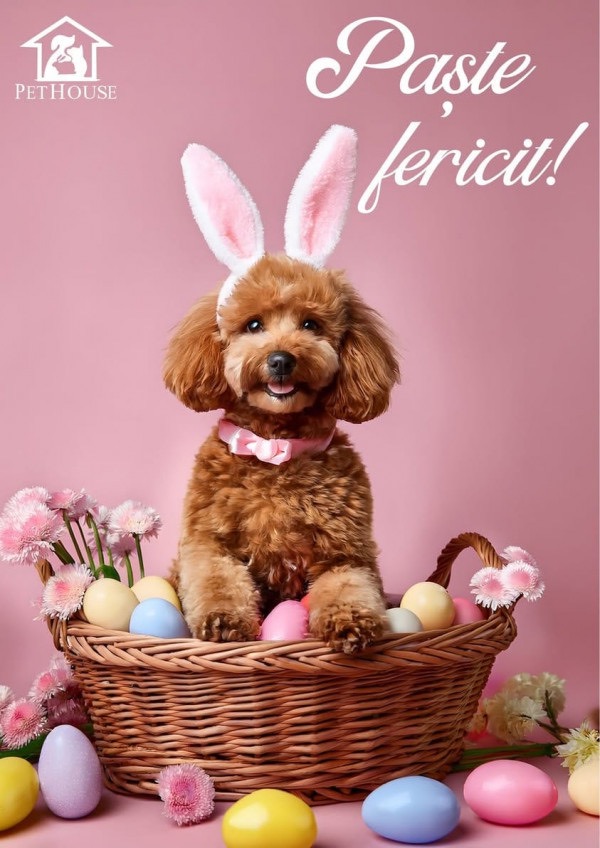 Какие скидки в PetHouse действуют с 01.04 по 30.04.2026 и что выгодно купить для кошек, собак, птиц и грызунов