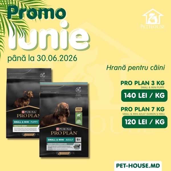 Promo iunie в PetHouse до 30.06.2026: скидки до 20% на корм для кошек и собак