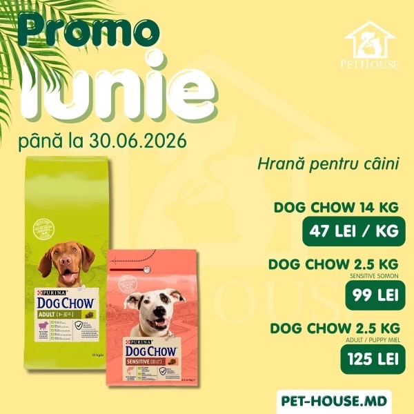 Promo iunie в PetHouse до 30.06.2026: скидки до 20% на корм для кошек и собак