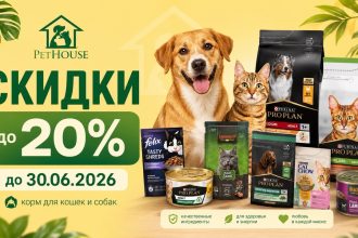 PetHouse запустил Promo iunie до 30.06.2026: скидки до 20% на корм Savory, цены на Pro Plan, Leonardo, Cat Chow, Dog Chow и Belcando.