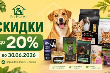 PetHouse запустил Promo iunie до 30.06.2026: скидки до 20% на корм Savory, цены на Pro Plan, Leonardo, Cat Chow, Dog Chow и Belcando.