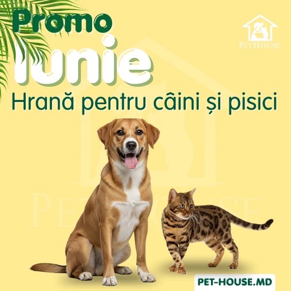 Promo iunie в PetHouse до 30.06.2026: скидки до 20% на корм для кошек и собак