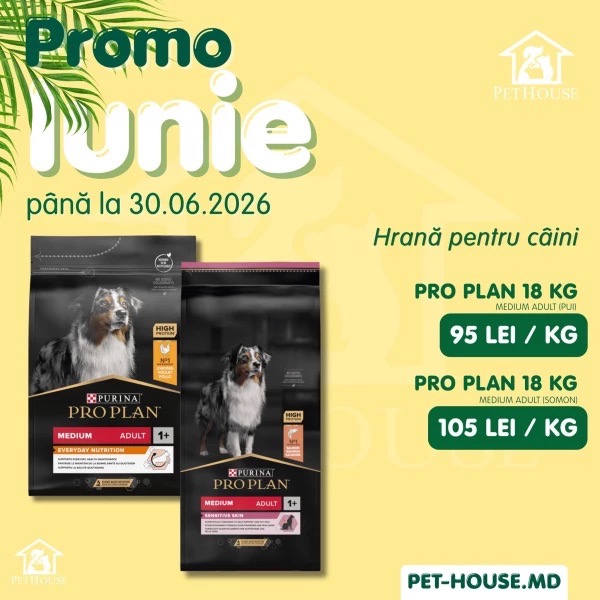 Promo iunie в PetHouse до 30.06.2026: скидки до 20% на корм для кошек и собак
