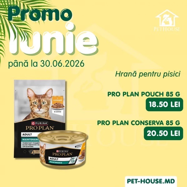 Promo iunie в PetHouse до 30.06.2026: скидки до 20% на корм для кошек и собак