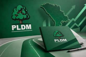 Что такое PLDM в Молдове в 2026: кто лидер, какие цели и как обратиться.